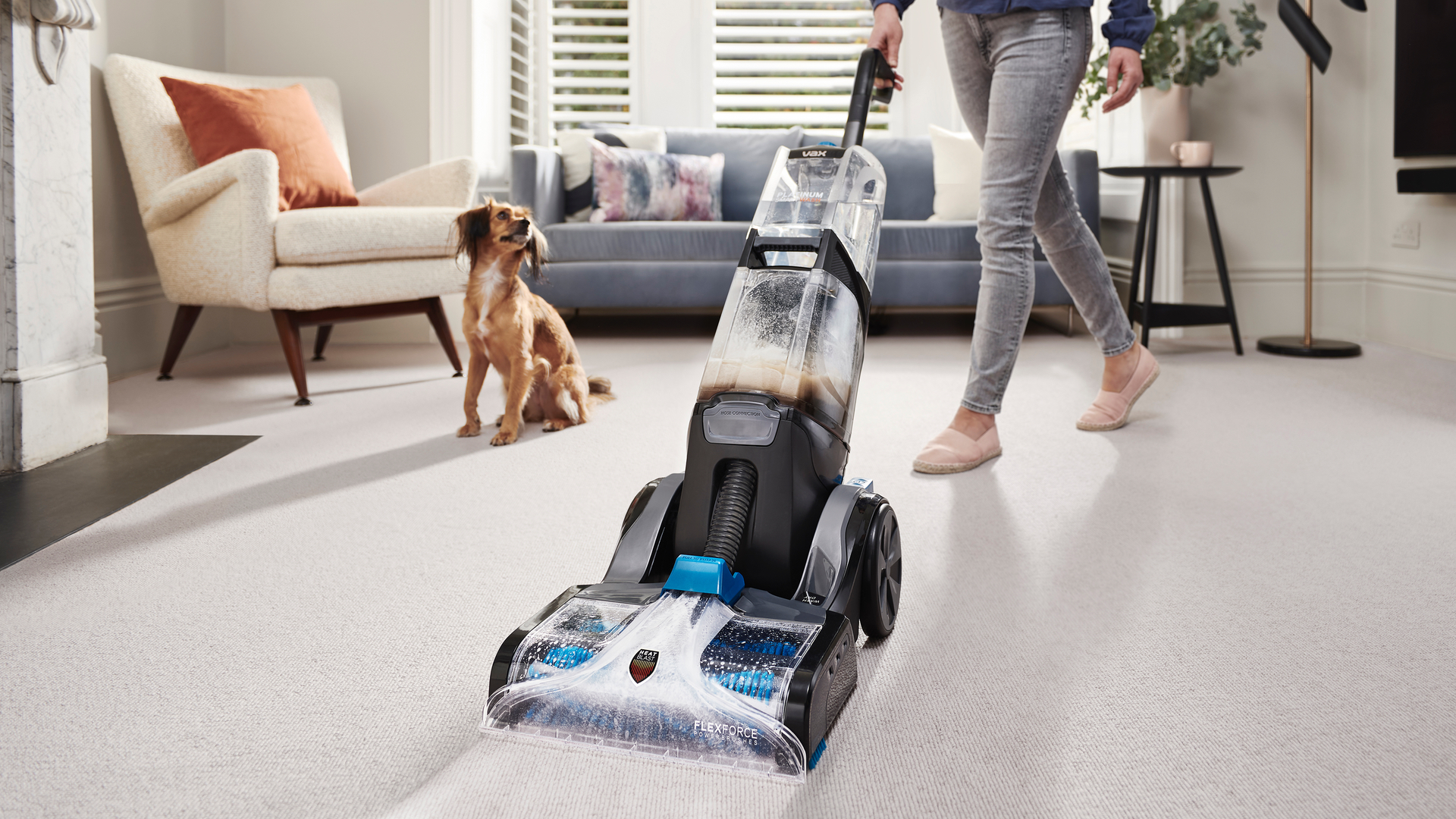 commercial carpet cleaning near me in Colorado springs